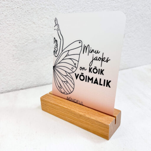 Eduka mõtteviisiga komplekt. Magnetiga järjehoidja, märkmiku kleepsud, motivatsiooni kaardid