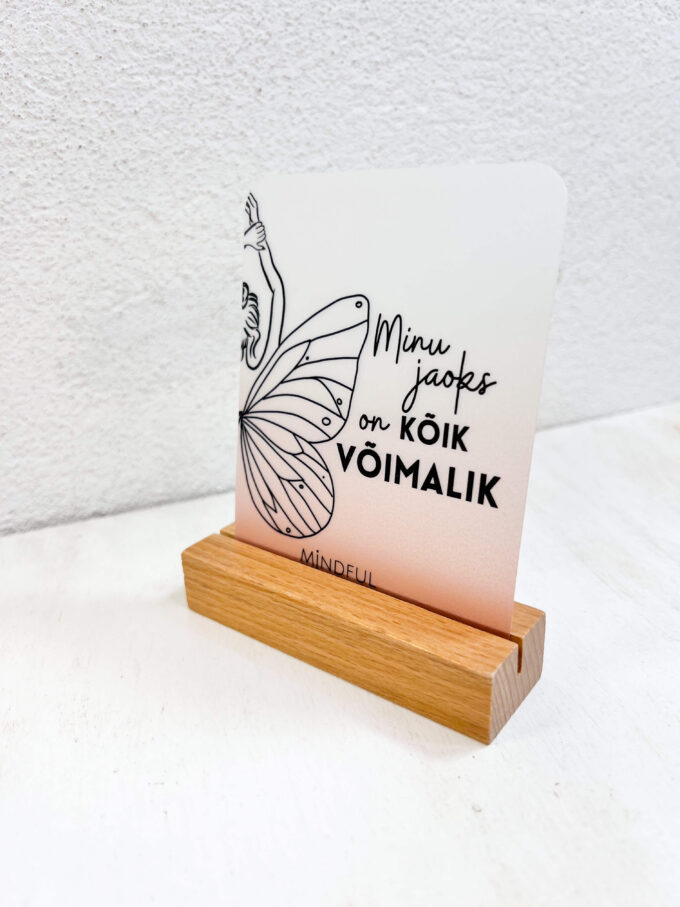 Eduka mõtteviisiga komplekt. Magnetiga järjehoidja, märkmiku kleepsud, motivatsiooni kaardid