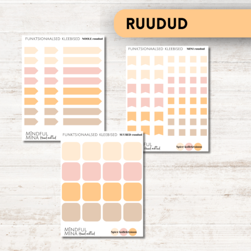 Funktsionaalsed märkmiku kleebised, planeerimise kleebised, RUUDUD
