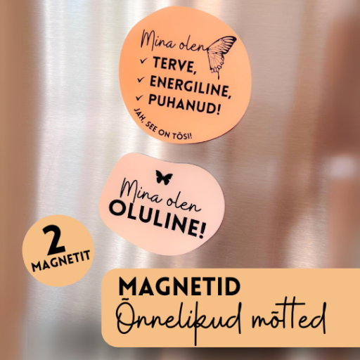 Magnetid heade mõtetega, motiveerivad külmkapimagnetid