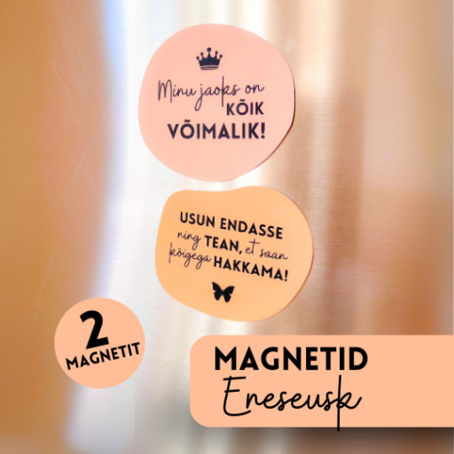 Magnetid heade mõtetega, motiveerivad külmkapimagnetid
