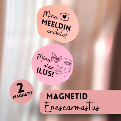 Magnetid heade mõtetega, motiveerivad külmkapimagnetid