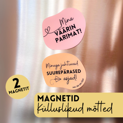 Magnetid heade mõtetega, motiveerivad külmkapimagnetid