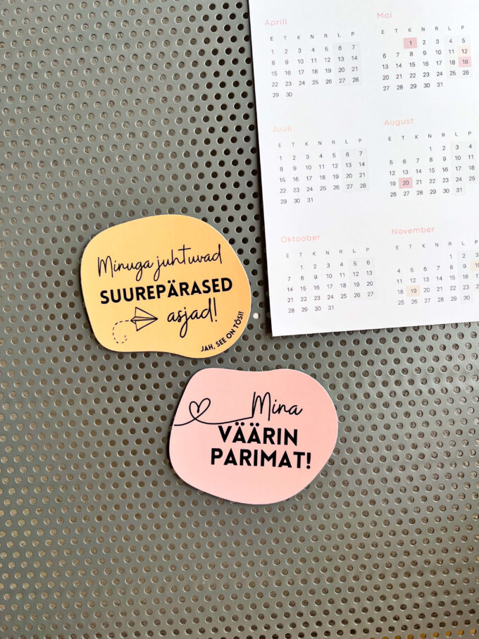 Heade mõtetega magnetid, motiveerivad magnetid, külmkapimagnetid