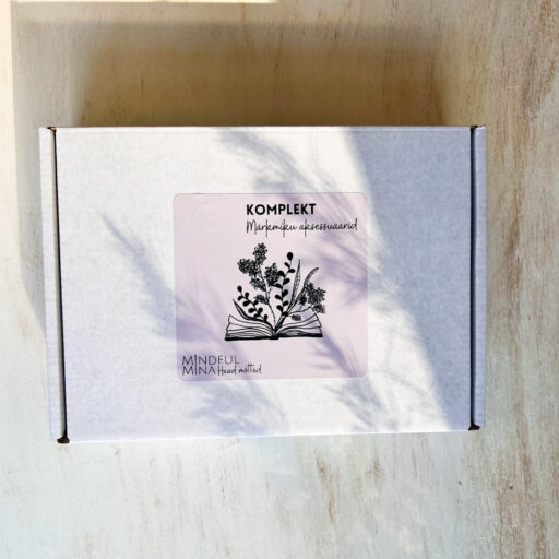 Komplekt märkmiku aksessuaarid, joonlaud, järjehoidjad, funktsionaalsed kleepsud, pinal