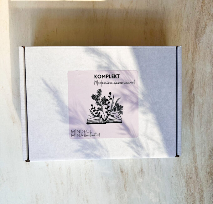 Komplekt märkmiku aksessuaarid, joonlaud, järjehoidjad, funktsionaalsed kleepsud, pinal