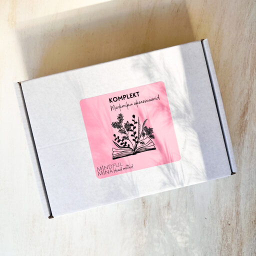 Komplekt märkmiku aksessuaarid, joonlaud, järjehoidjad, funktsionaalsed kleepsud, pinal