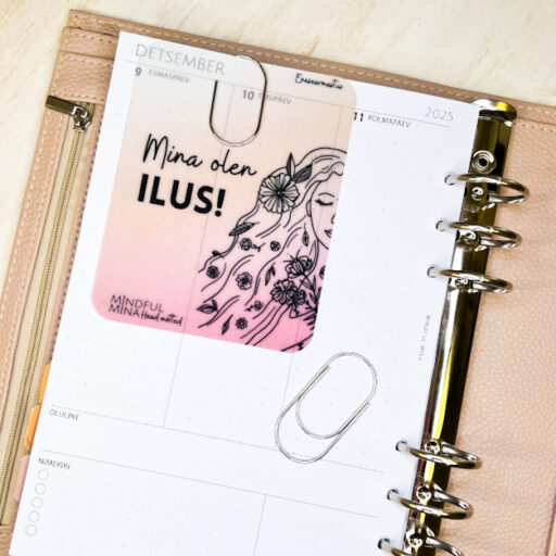 Suured kirjaklambrid on praktiline märkmiku aksessuaar.