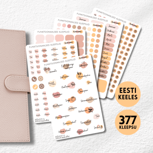 Funktsionaalsed märkmiku kleepsud, kalendri komplekt 377 kleepsu