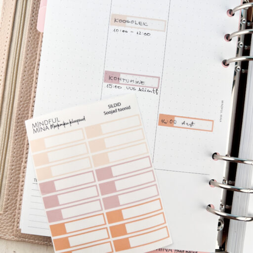 Märkmiku kleepsud_sildid