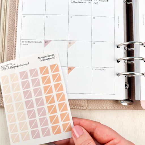 Funktsionaalsed märkmiku kleepsud