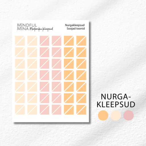 Funktsionaalsed märkmiku kleepsud