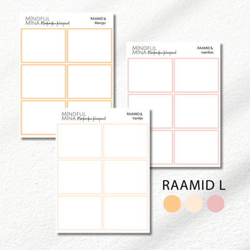 Funktsionaalsed märkmiku kleepsud