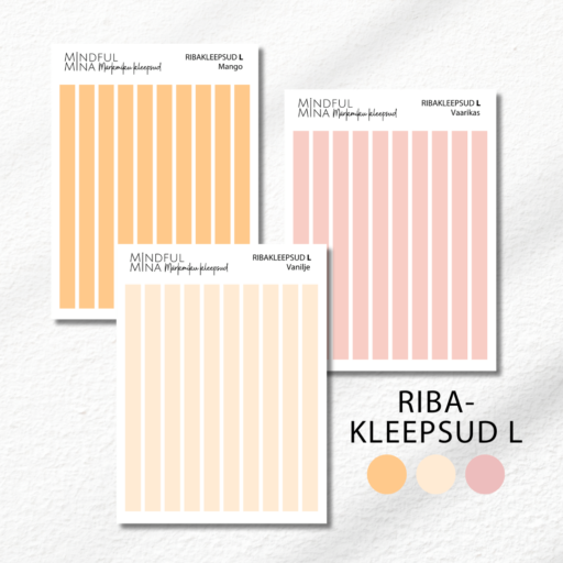 Funktsionaalsed märkmiku kleepsud