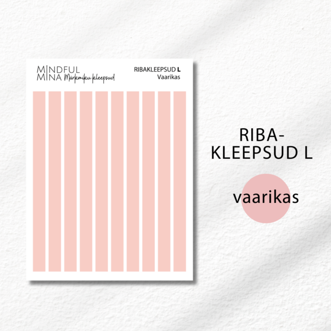 Funktsionaalsed märkmiku kleepsud