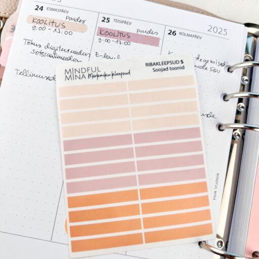 Funktsionaalsed märkmiku kleepsud, ribakleepsud