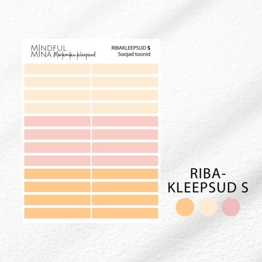 Funktsionaalsed märkmiku kleepsud