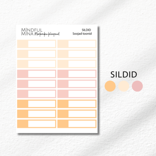 Funktsionaalsed märkmiku kleepsud