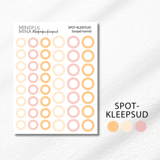 Funktsionaalsed märkmiku kleepsud