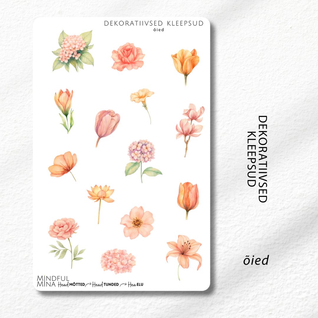 Dekoratiivsed märkmiku kleepsud, Dekoratiivne Motivatsioon